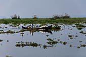 Kerala backwaters, morning mist on Vembanad Lake.  